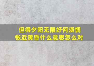 但得夕阳无限好何须惆怅近黄昏什么意思怎么对