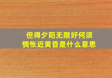 但得夕阳无限好何须惆怅近黄昏是什么意思