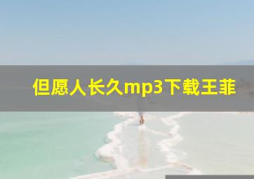 但愿人长久mp3下载王菲