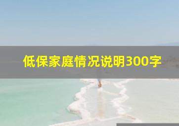 低保家庭情况说明300字