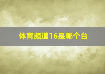 体育频道16是哪个台