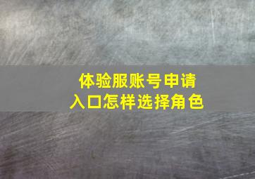 体验服账号申请入口怎样选择角色