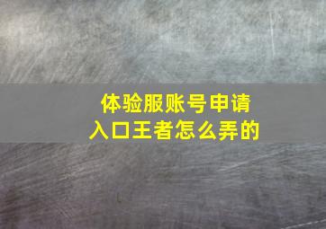 体验服账号申请入口王者怎么弄的