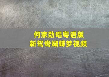 何家劲唱粤语版新鸳鸯蝴蝶梦视频