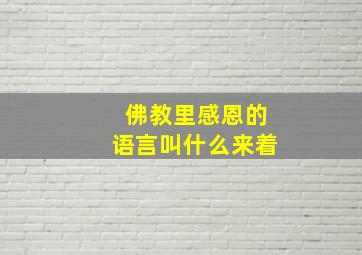 佛教里感恩的语言叫什么来着