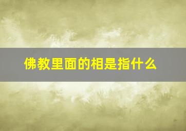 佛教里面的相是指什么