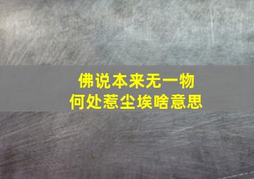 佛说本来无一物何处惹尘埃啥意思