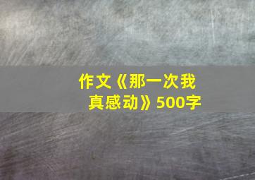 作文《那一次我真感动》500字