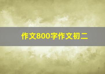 作文800字作文初二