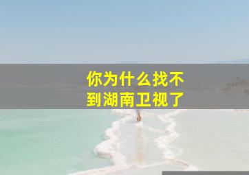 你为什么找不到湖南卫视了