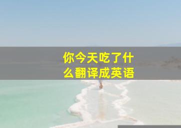 你今天吃了什么翻译成英语