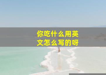 你吃什么用英文怎么写的呀