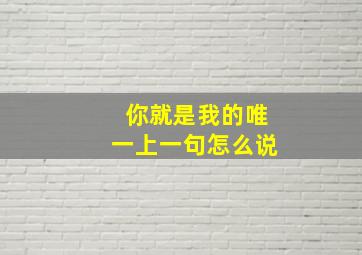 你就是我的唯一上一句怎么说