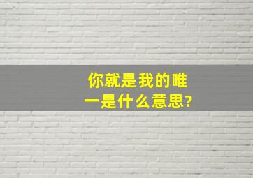 你就是我的唯一是什么意思?