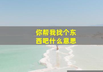 你帮我找个东西吧什么意思