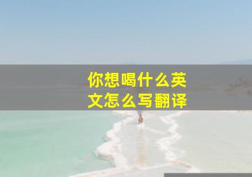 你想喝什么英文怎么写翻译