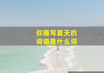 你描写夏天的词语是什么词