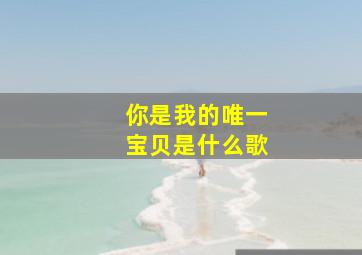 你是我的唯一宝贝是什么歌