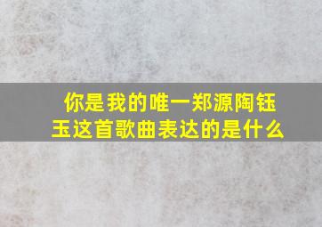 你是我的唯一郑源陶钰玉这首歌曲表达的是什么