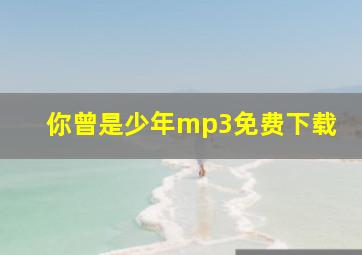 你曾是少年mp3免费下载