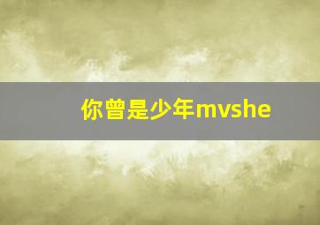 你曾是少年mvshe