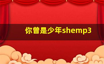 你曾是少年shemp3