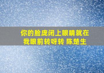 你的脸庞闭上眼睛就在我眼前转呀转 陈楚生