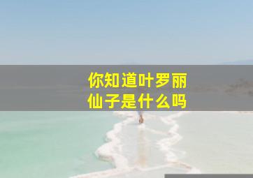 你知道叶罗丽仙子是什么吗