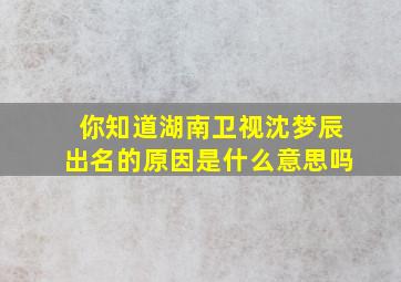 你知道湖南卫视沈梦辰出名的原因是什么意思吗