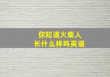 你知道火柴人长什么样吗英语