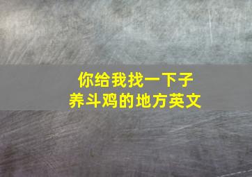 你给我找一下子养斗鸡的地方英文