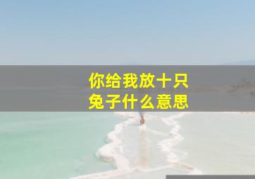 你给我放十只兔子什么意思