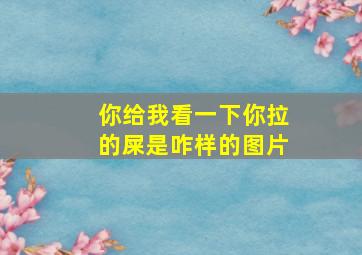 你给我看一下你拉的屎是咋样的图片