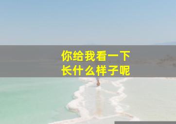 你给我看一下长什么样子呢