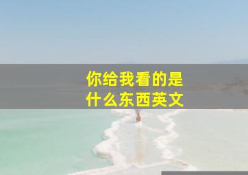 你给我看的是什么东西英文