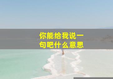 你能给我说一句吧什么意思