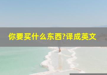 你要买什么东西?译成英文