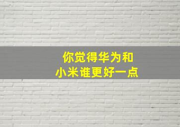 你觉得华为和小米谁更好一点