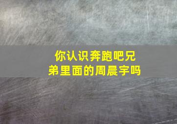 你认识奔跑吧兄弟里面的周晨宇吗