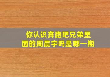 你认识奔跑吧兄弟里面的周晨宇吗是哪一期