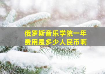 俄罗斯音乐学院一年费用是多少人民币啊