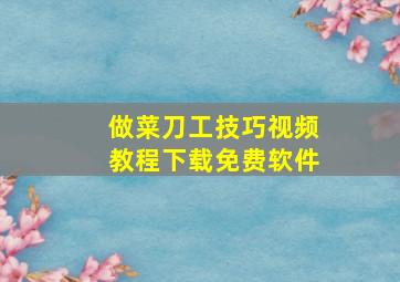 做菜刀工技巧视频教程下载免费软件