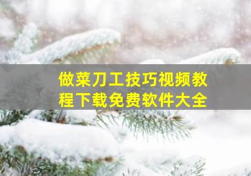 做菜刀工技巧视频教程下载免费软件大全