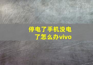 停电了手机没电了怎么办vivo