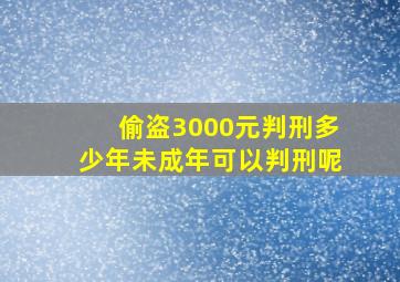 偷盗3000元判刑多少年未成年可以判刑呢