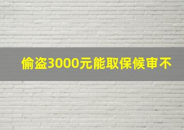 偷盗3000元能取保候审不