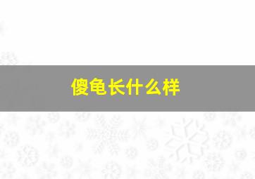 傻龟长什么样