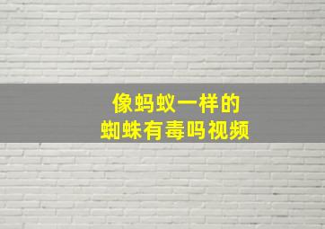 像蚂蚁一样的蜘蛛有毒吗视频