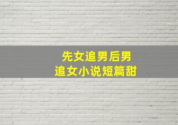 先女追男后男追女小说短篇甜