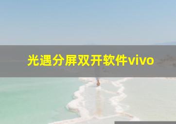 光遇分屏双开软件vivo